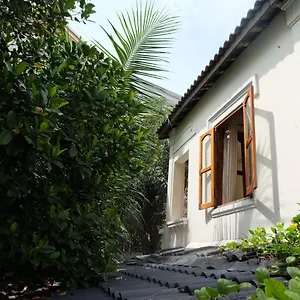 Moon House Tropical Garden - Lavender Гостевой дом